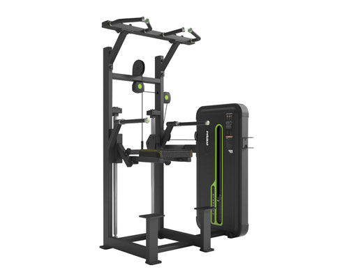 デップ＆チンアシスト